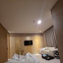 하모니동물병원 | 원주 우리산부인과 자연분만 후기