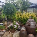 웅지와 나옹이 이미지