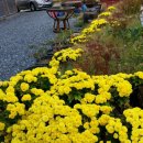 탑골농원 이미지