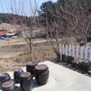 지동산촌마을 이미지