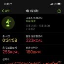 크로스핏 레오 네이버블로그