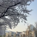 치킨42.195 이미지