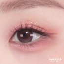 플라워 팔레트 | [공지] 플라워노즈 3호 핑크스완 섀도우팔레트 팝업가서 사왔어요