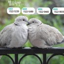 밝은내일심리상담센터