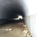 피서농장 이미지