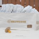 봄빛산부인과의원 이미지