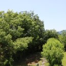 충의공원(충혼탑) 이미지