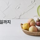 싱싱한마켓 아시아경제