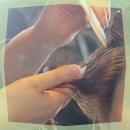 노블미용실 이미지