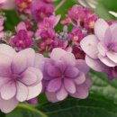 서양화(저녁) 이미지