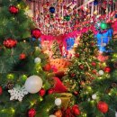 필룩스조명박물관 | 양주 필룩스 조명박물관 아이와 가기 좋은 크리스마스 특별전시