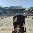 행복나들이 | [행복이 10개월] 경희궁 아기랑 나들이 솔직 후기 | 서울역사박물관에서 걸어서 바로