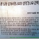 울릉군청 티스토리