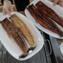 장어독립 이미지