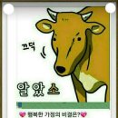 안동양반 이미지