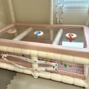 토리 키즈 풀빌라 이미지