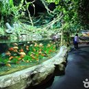 아쿠아리움 이미지