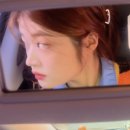 제스티파우더(Zesty powder) 이미지