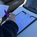 (유)고려렌트카 엑스포 | 여수여행 렌트카 추천 터미널 엑스포역 픽업 반납이 편한 고려렌트카