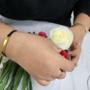 그림책 원예 활동 이미지