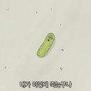 아마엔보 이미지