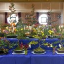 솔안초등학교 이미지