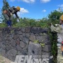 제주 246 이미지