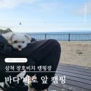 애견동반 바다 캠핑, 장호 비치 캠핑장에서 현타 온 후기