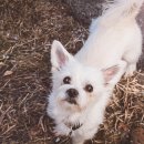 공감＋동물의료센터 이미지