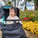 지니카 | 휴대용유모차 vs 유모카 고민후 와이업 지니에스2 내돈내산 추천