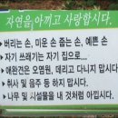 양지초교 이미지