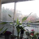 빨리쎌프 이미지