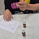 궁남초등학교 이미지