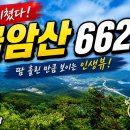 48년된 숲속나무들 1978년 굴암산662m 이미지