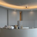 서울웰동물의료센터 이미지