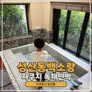 유자나무펜션 | 제주도자쿠지 서귀포 아이와 가볼만한 독채펜션 성산동백소랑 후기