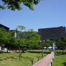 숭실사이버대학교 이미지