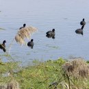 극락강역 이미지