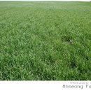 서일목장 이미지