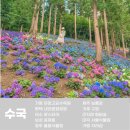 보성꽃식물원 이미지