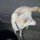 도척면-2 이미지