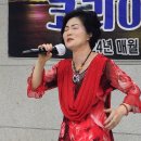 C0409 Daum카페