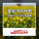 (주)해피렌트카 이미지