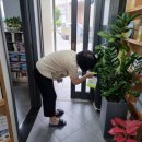 목포영산초등학교 이미지