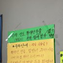 [국내여행/맛집] 대전 도마동 대성 콩국수 후기 / 대전사랑카드 사용가능