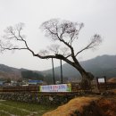 남해-276 이미지