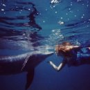 그랑블루 이미지