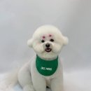 라이크몽 이미지