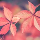 만수2동-10 이미지