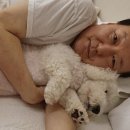 개스타그램 이미지
